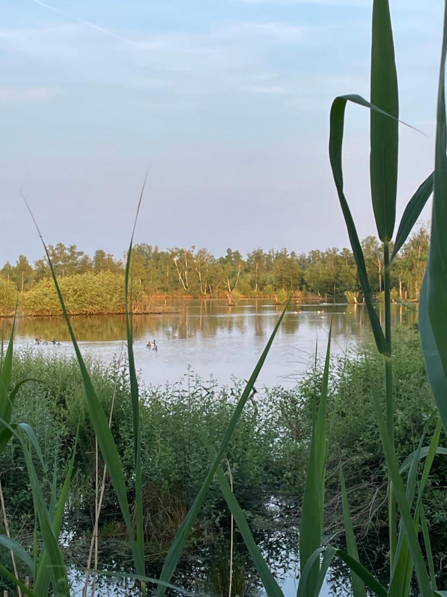 Vakantiewoning Hegga Hegelsom 外观 照片
