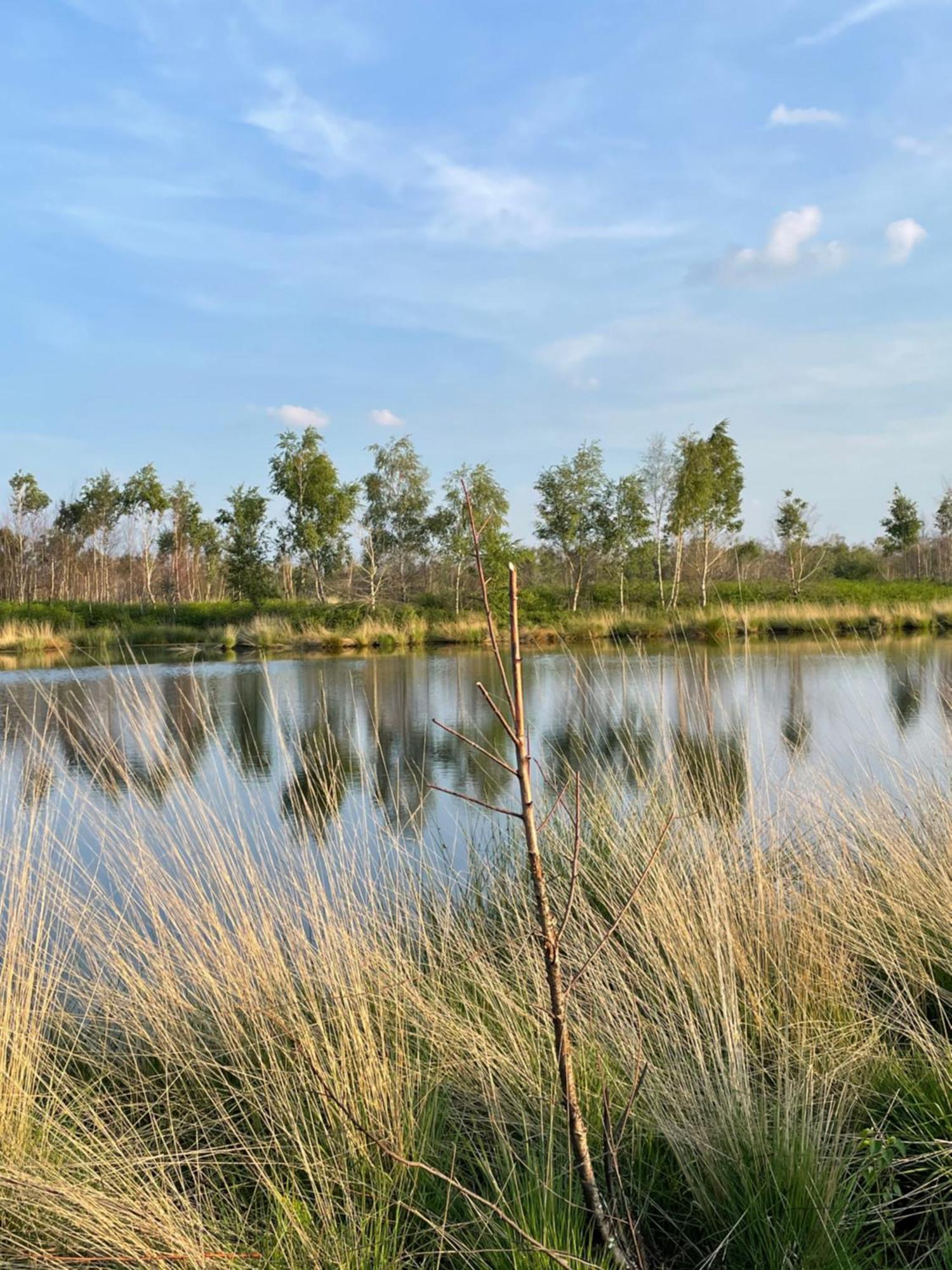Vakantiewoning Hegga Hegelsom 外观 照片